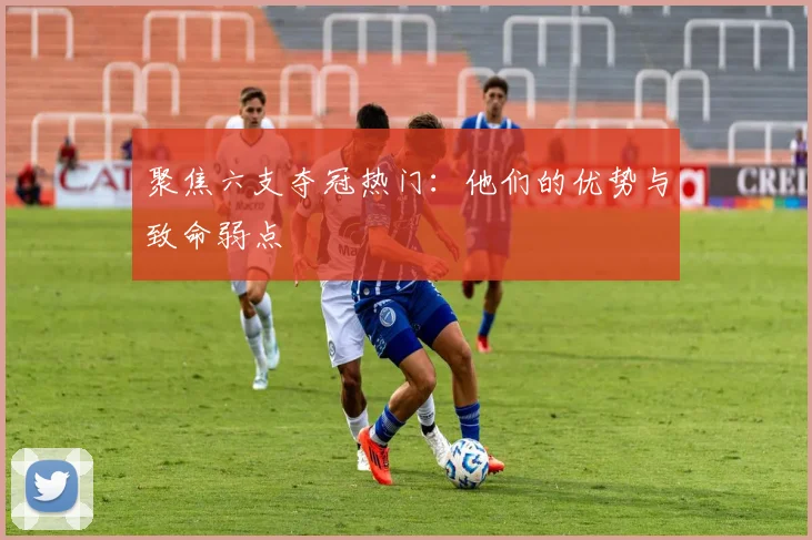 聚焦六支夺冠热门:他们的优势与致命弱点